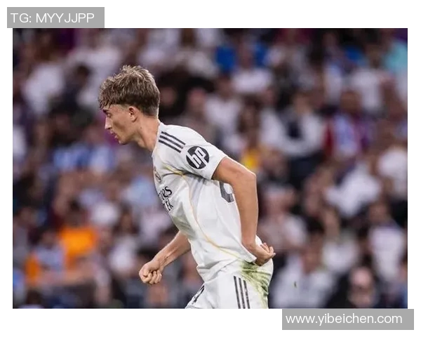 皇马全员集结阿诺德卡瓦哈尔赫伊森塞巴略斯齐聚训练场 皇马全员集结阿诺德卡瓦哈尔赫伊森塞巴略斯齐聚训练场