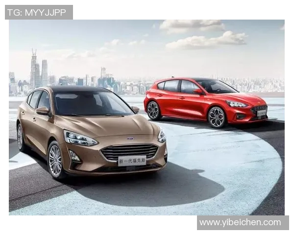 福克斯强调全新阵容需迅速磨合以提升球队竞争力